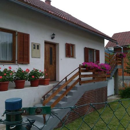 Apartman Nina Licko Petrovo Selo Экстерьер фото