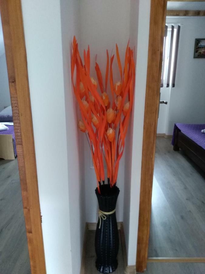 Apartman Nina Licko Petrovo Selo Экстерьер фото
